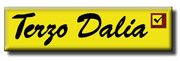 TERZO DALIA